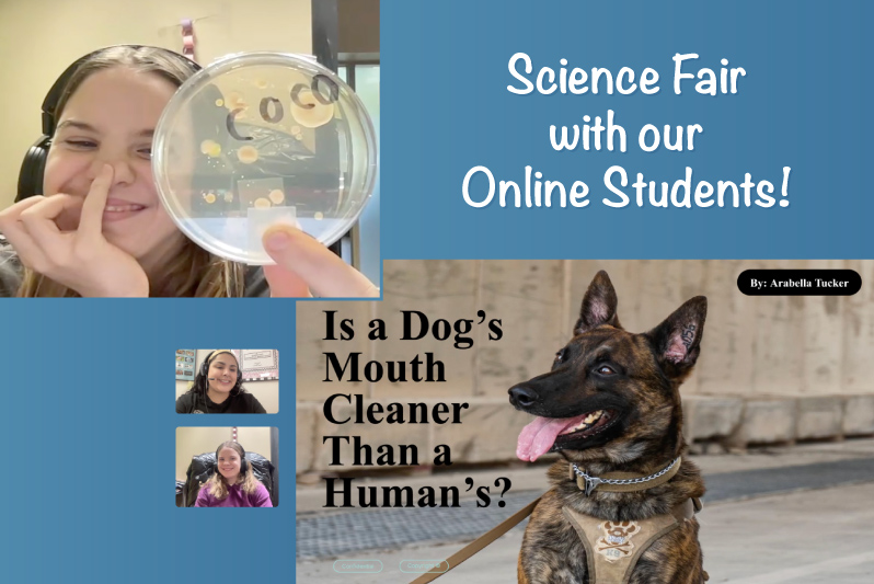 science fair at our online school
